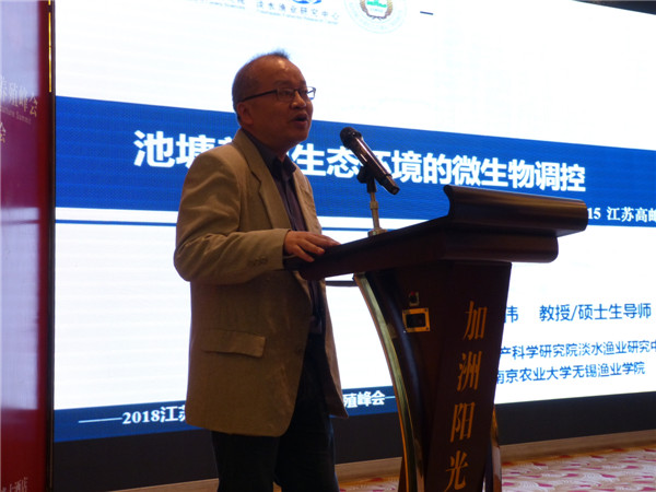 吴伟老师讲解