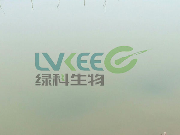 为处理水质