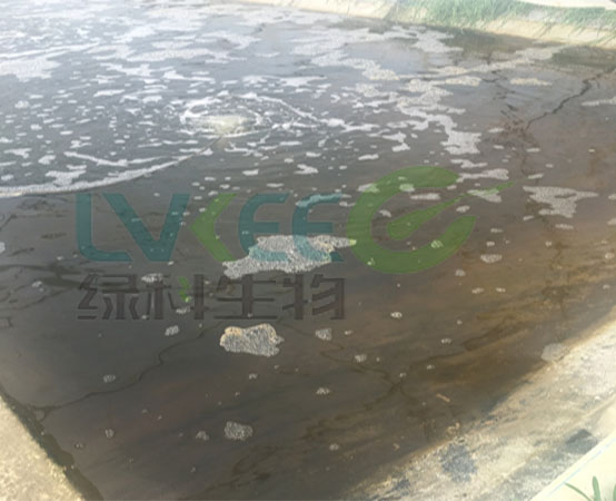 处理后1