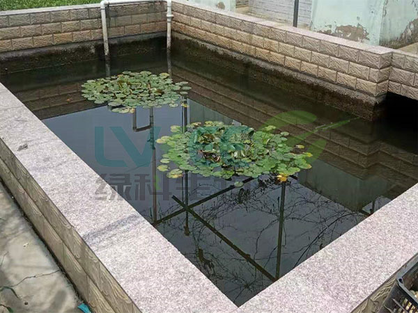 菌种扩培