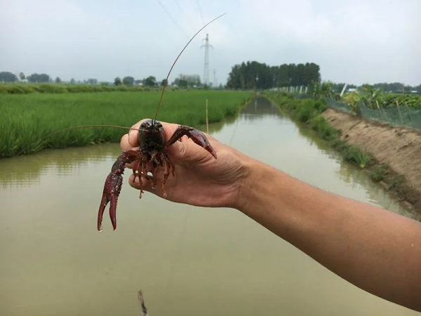 图片5