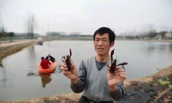 图片4