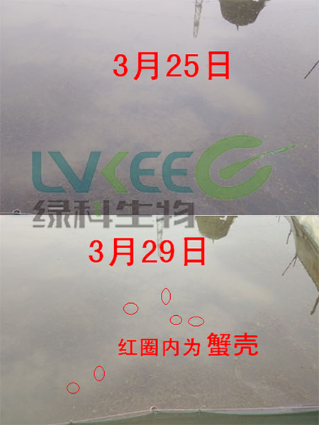 改水
