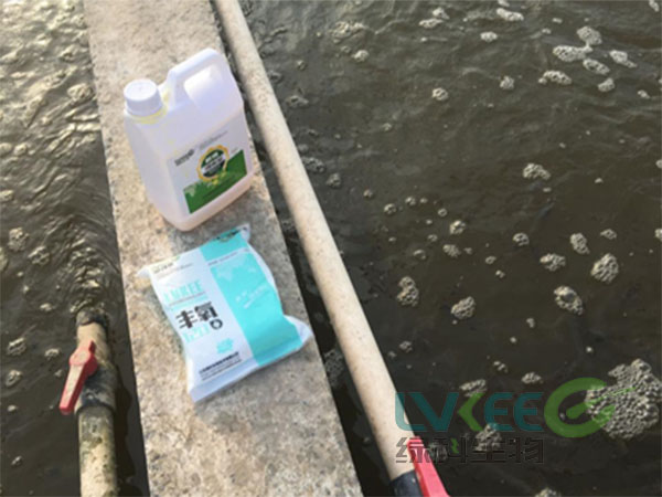 偷死虾处理后