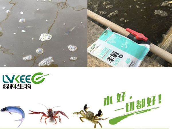 偷死虾处理前