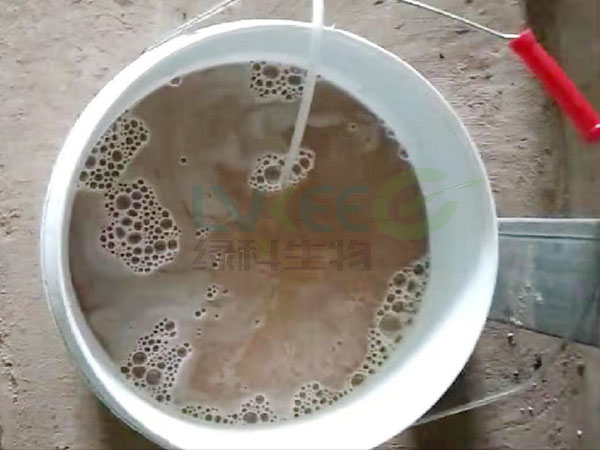 菌种活化