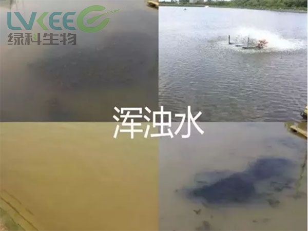 水浑浊