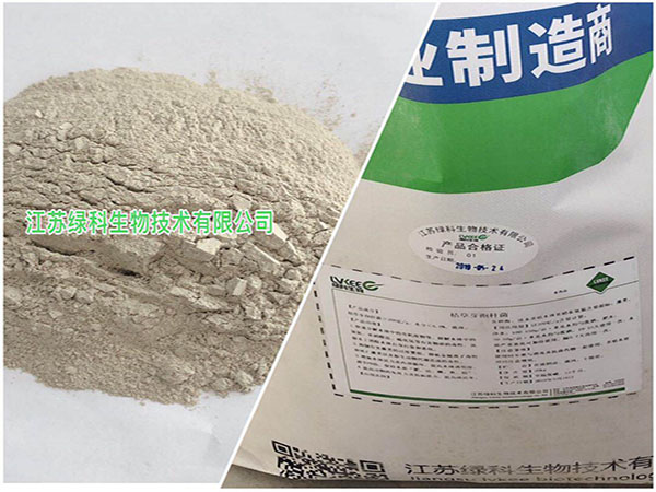 枯草芽孢杆菌预防土传病害