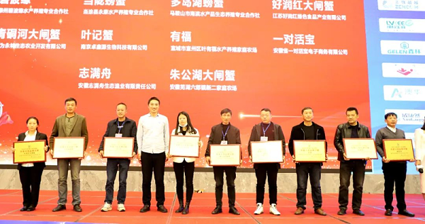 图片6