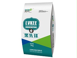 黑先锋