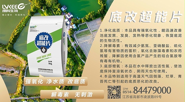 底改超能片1