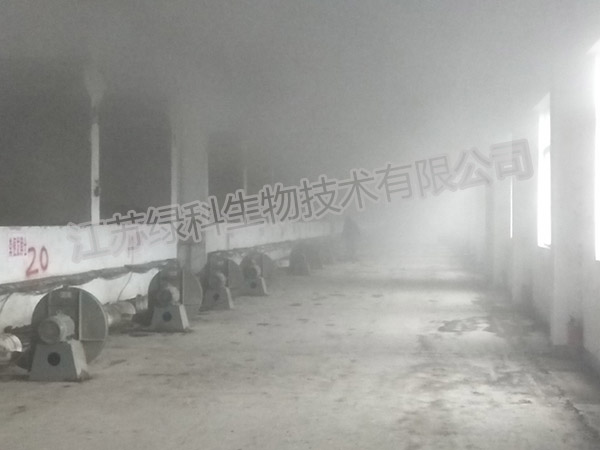 污泥发酵车间
