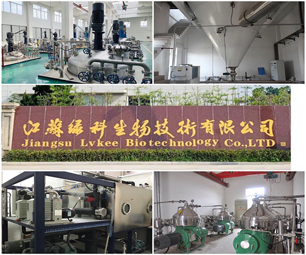 江苏绿科生物技术有限公司