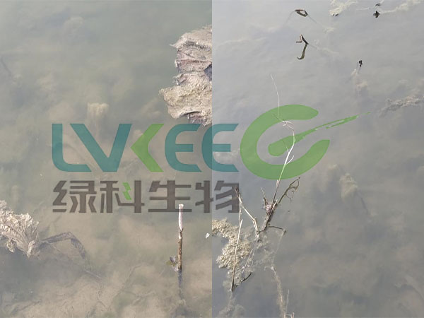 处理结果