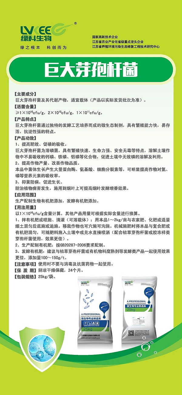 巨大芽孢杆菌