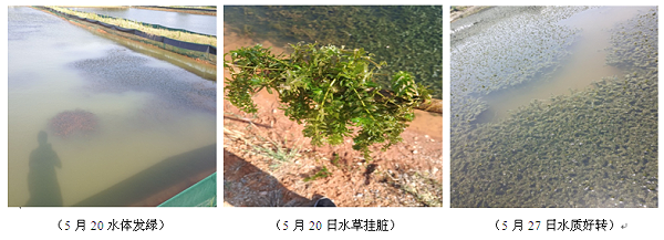 案例