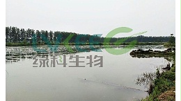 微生物制剂在什么情况下使用？