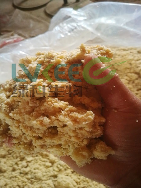 发酵好的豆渣