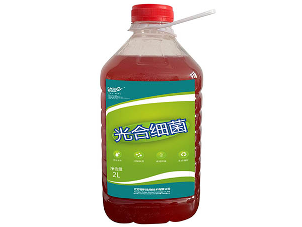 光合细菌