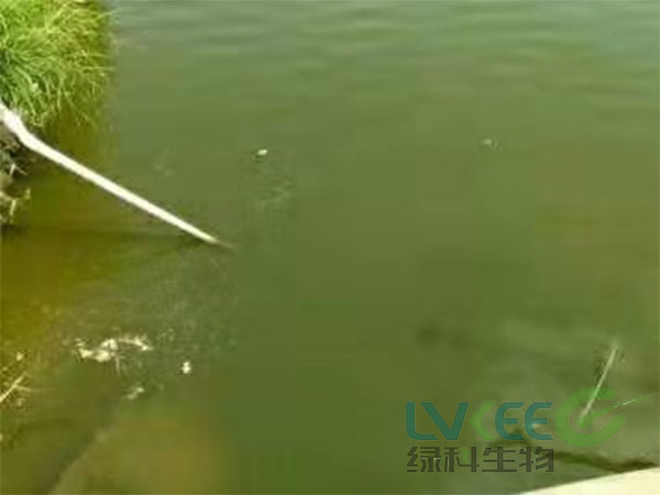 老绿水处理前