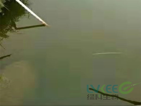 老绿水处理后