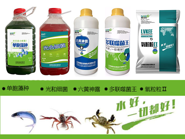 螃蟹缺氧
