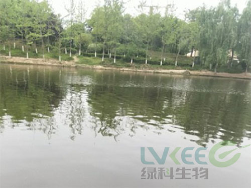 荥阳新田城景观湖处理后