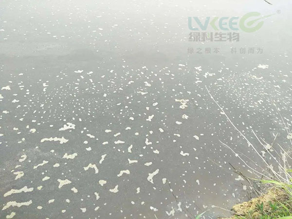 油膜