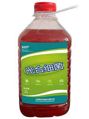 光合细菌绿科